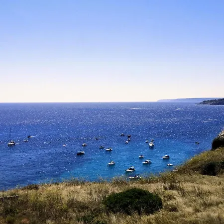 Casa Barzo - Surrounded By Olive Trees ゲストハウス