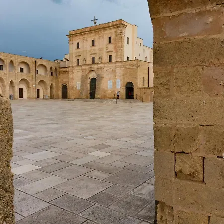 ゲストハウス Casa Barzo - Surrounded By Olive Trees