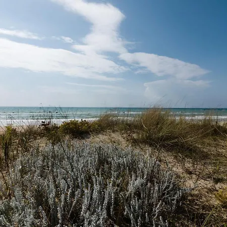 Casa Barzo - Surrounded By Olive Trees Salve