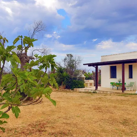 Casa Barzo - Surrounded By Olive Trees Salve