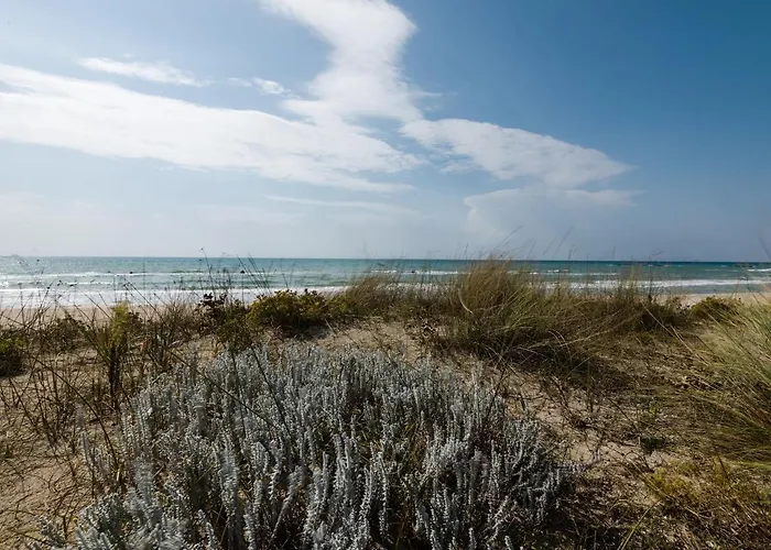 Casa Barzo - Surrounded By Olive Trees 萨尔维